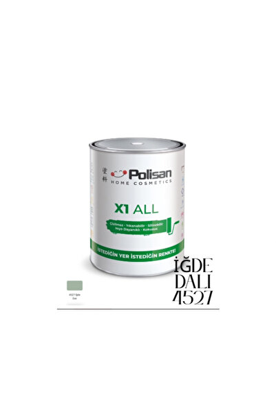 Polisan X1 All ile İstediğini Boya-Çizilmez-Kokusuz-Yıkanabilir Dönüşüm Boyas...