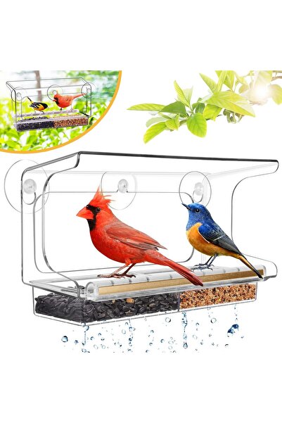 Arabest مغذي طيور مقاوم للكسر يُثبت على النافذة، مزود بأكواب شفط قوية، وقاعدة...