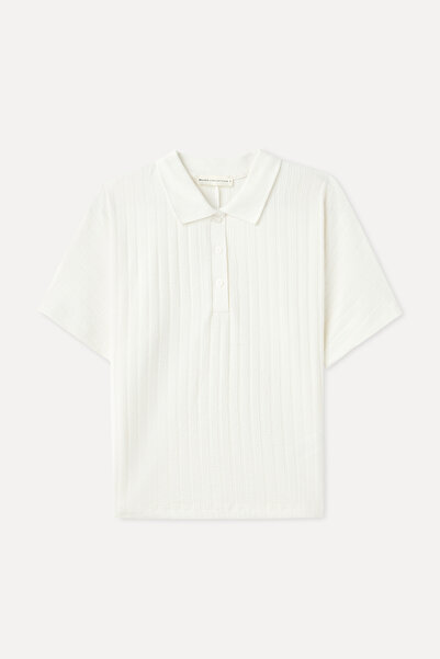 Mudo Fitted Striped Polo Collar Short Sleeve Sweater