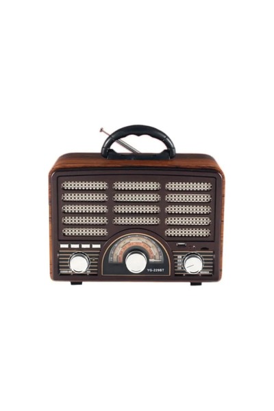 Denx DX2443 Rechargeable Hi-Fi Radio with Remote Control,Large Capacity Batte...