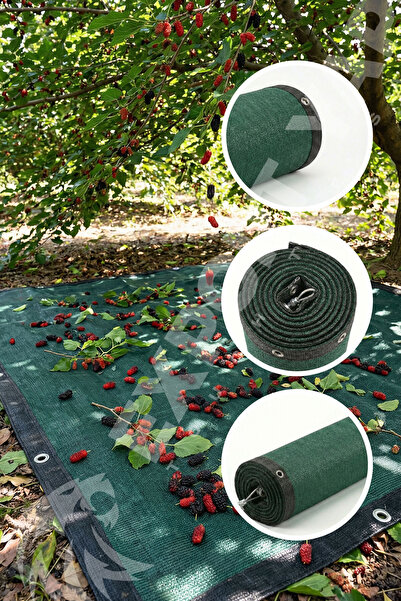 EXPORTYAPI Dut Filesi – Yüzde 75lik – Yeşil – Şeritli Halkalı - 1 metre x 1 m...
