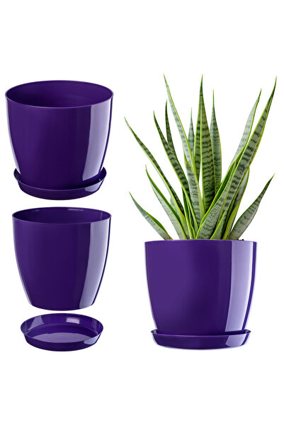 KADAX Ghiveci cu farfurie, capac din plastic, 23 cm, flori mov