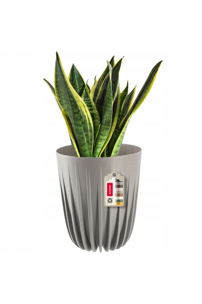 KADAX Ghiveci cu insert 30x36cm, capac rotund din plastic, gri