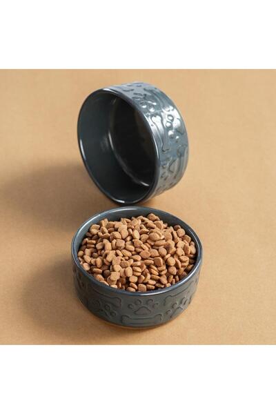 Pettrend Gri Kedi Köpek Mama Kabı 2li Seramik Kabartmalı Kedi Köpek Mama ve S...