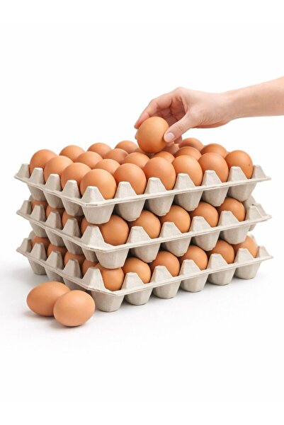 Kalite Meraklıları (13 Adet)30'lu Karton Yumurta Viyolü (13 Adet 17lbs)- Víyo...