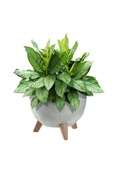 KADAX Ghiveci de flori 29cm, capac + picioare, suport de flori din plută, gri