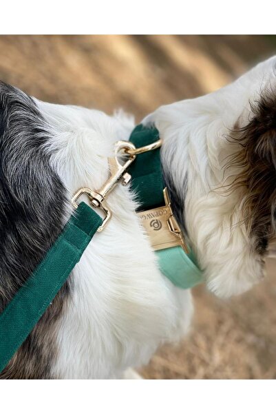 GoPawGo Shelby - Adjustable Dog Collar with Charms and Metal Buckle