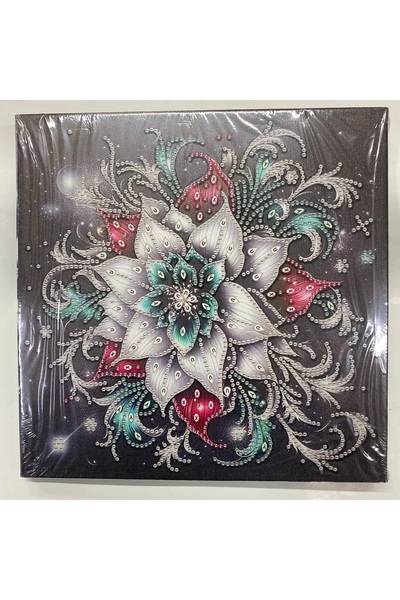 EleganTShoP Tuval 5D Yapışan Boncuk Mozaik Tablo 25*25 cm YY96