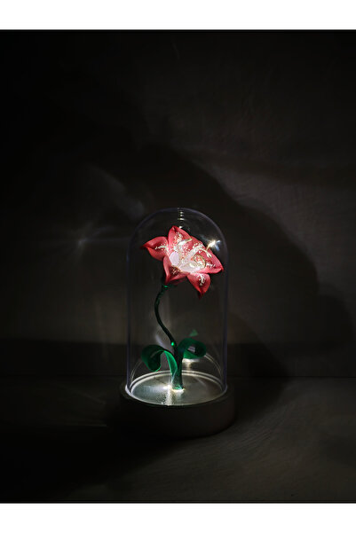 Kibele Sanat Dekoratif Ledli Rapunzel Zambağı (Prenses Belle) Teraryum Fanus,...