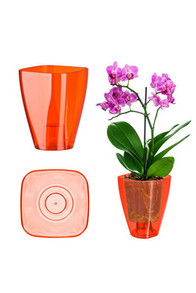 KADAX Ghiveci de flori pentru orhidee, ghiveci din plastic, roșu rezistent, 9 cm