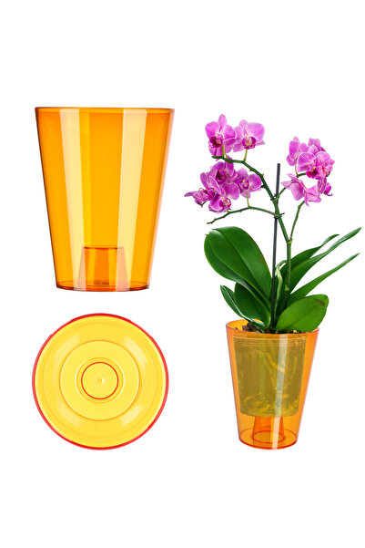 KADAX Flowerpot Orchid Planter Plastic Planter Orange 12cm