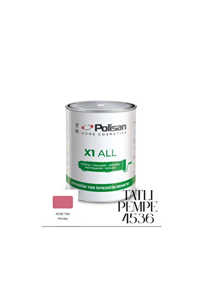 Polisan X1 All ile İstediğini Boya-Çizilmez-Kokusuz-Yıkanabilir Dönüşüm Boyas...