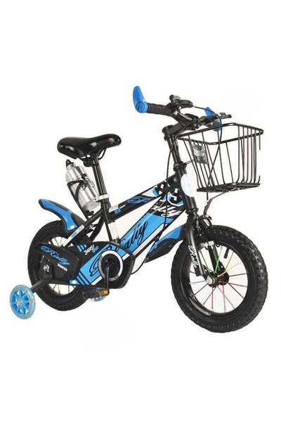 Rally Classic Metallic Bicycle With Disc Brakes Size 12 For Kids