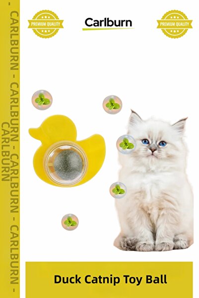 Carlburn Special Production Edible Pure Effective Chemical-Free Fun Adhesive ...