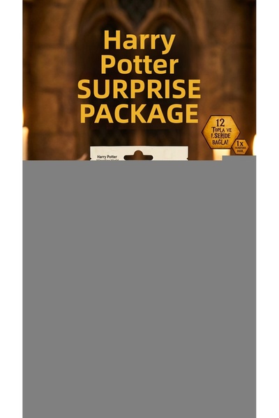 lowell home Harry Potter Surprise Figure Toy Collection Box