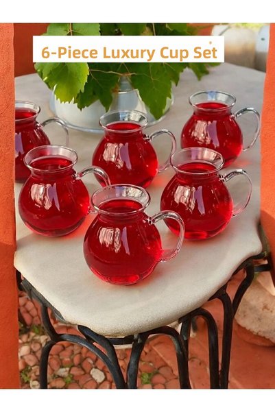 Ercazzo 6-Piece Borosilicate Glass Cup Set - Ala Heat Resistant, Handled Teacup and Dowry Set