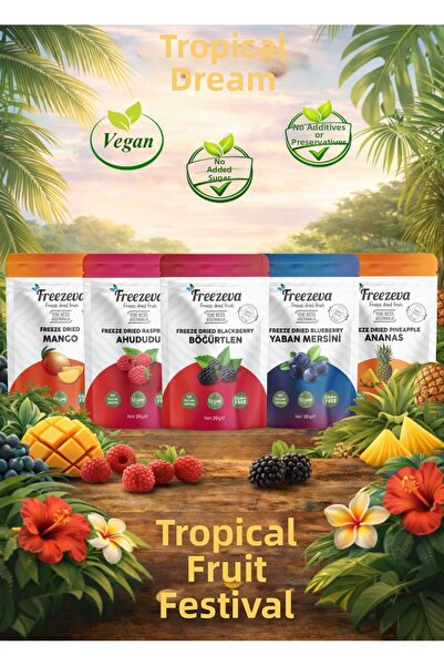 Freezeva Tropik Rüya (Set of 5) - Freeze Dried Fruit Chips (Freeze Dried) Tro...