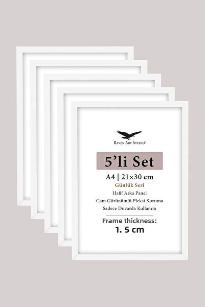 Raven Art Studio SET DE 5- A4 - 21cm x 30cm ușor Panouri din spate din plexig...