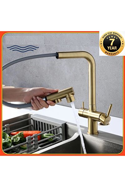 OEM صنبور مطبخ بتدفق مزدوج مع منفذ لتنقية المياه، صنبور حلزوني ذهبي غير لامع،...