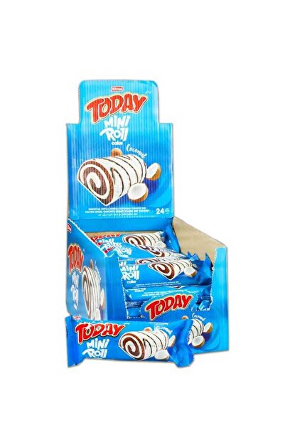 Elvan Today Mini Roll Cake Hindistan Cevizi Kaplamalı 40 Gr. 24 Adet (1 KUTU)