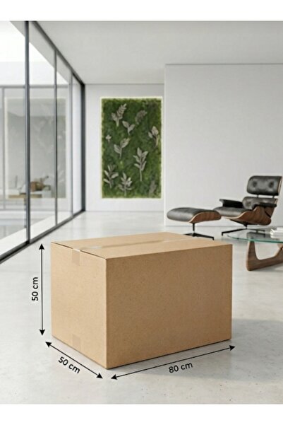 Alina Dizayn EŞYA TAŞIMA KOLİSİ,ÇİFT OLUKLU KARTON,TAŞINMA KOLİSİ,BOŞ,KOLİ,ÇE...