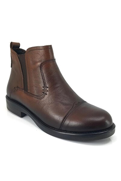 Venüs 1852509 Günlük Bot - Taba