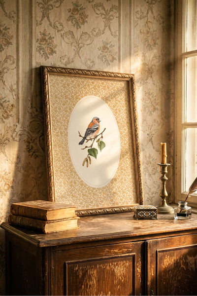 Finch Bird - Vintage Patterned Frame