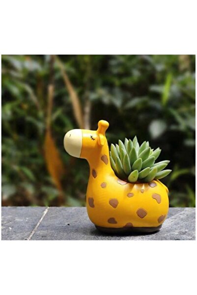 Genel Markalar Sevimli Zürafa Figürlü Saksı Sukulent Saksısı Kaktüs Saksısı 2...