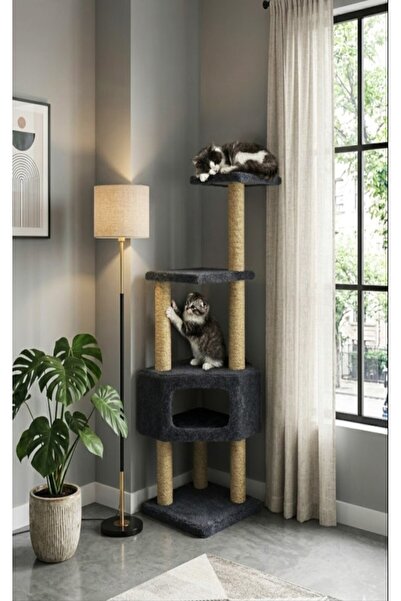 Turkuaz Tırmalama Corner Tr969 [anthracite]