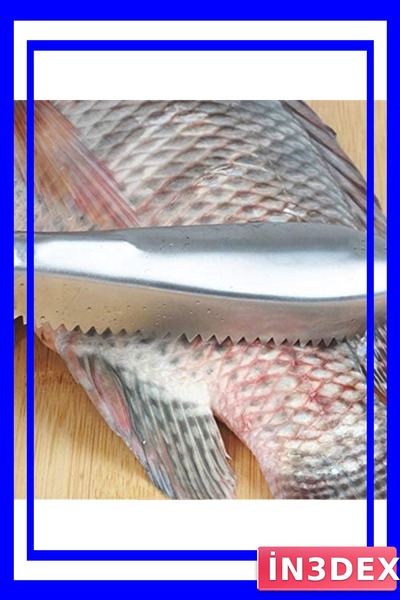 İN3DEX Practical Fish Scale Scraper Tool, Hygienic and Quick Cleaning