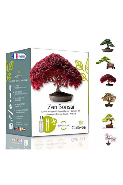 OEM Kit de cultivare bonsai Zen Bonsai - Arta miniaturala a naturii
