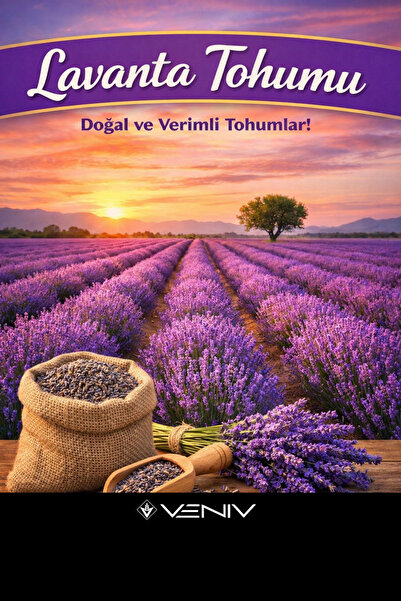 VENİV 20 Adet Lavanta Tohumu