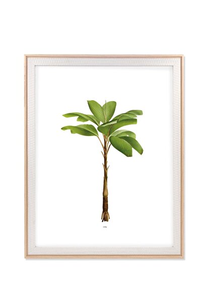 The Mia Фоторамка Retrato Біла 40x50 см