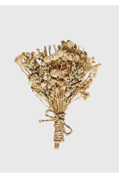 Ramsey Αξεσουάρ μπεζ γιακά