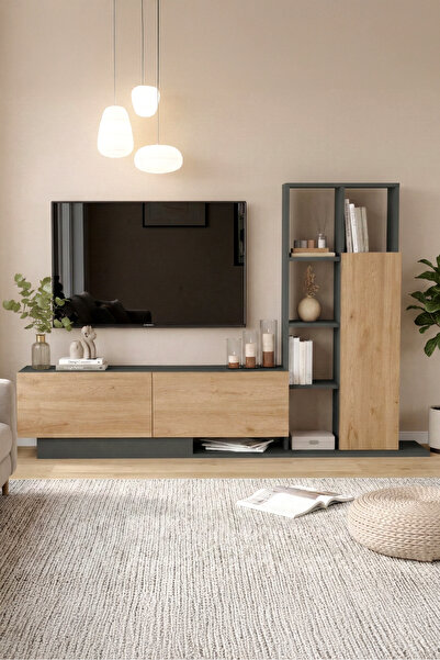 Yurudesign Blaze Tv Ünitesi Kapaklı Kitaplık Raf Sepet-Antrasit BE1-SA