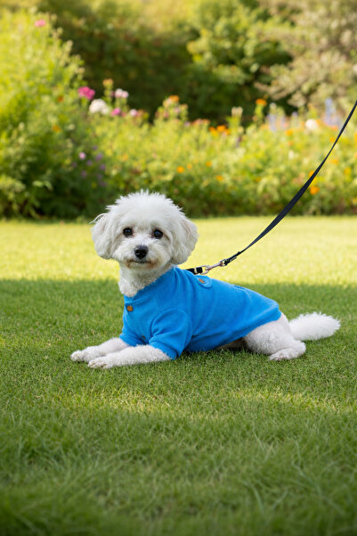 PATİLİNKA Kedi - Köpek Kaşkorse Esnek Mevsimlik Ceket - Mont - Yağmurluk - Ye...