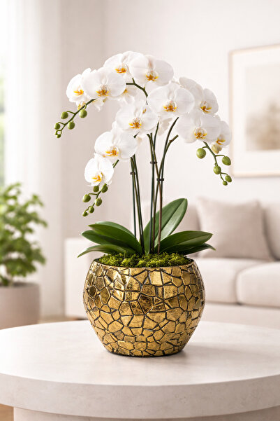 3D PROATO Parçalanmış Görünümlü Orkidelik/Saksı