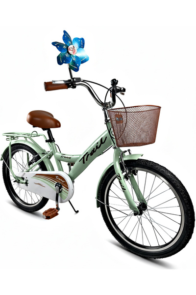 Tr250 Steel Frame 20 Rim Bike Kids Bike with Luggage
