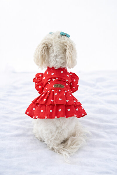 PATİLİNKA Kedi - Köpek Yazlık Pamuklu Poplin Elbise - Kıyafet - Tişört