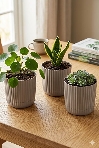 TEMMUZ HOME Zeraf Saksı No:1 – 3 Adet 1.3 Litre Tabaklı Masa ve Sehpa Üzeri S...