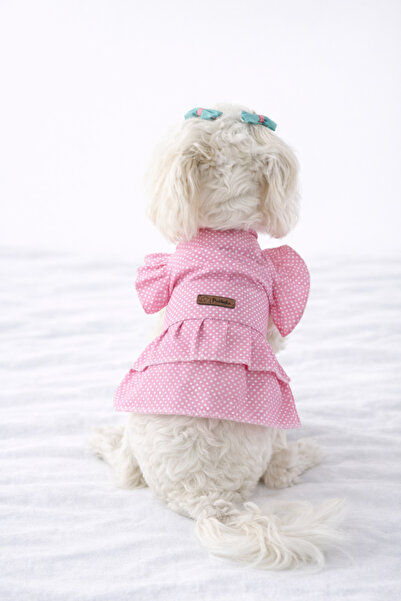 PATİLİNKA Puantiyeli Kedi Köpek Poplin Elbise