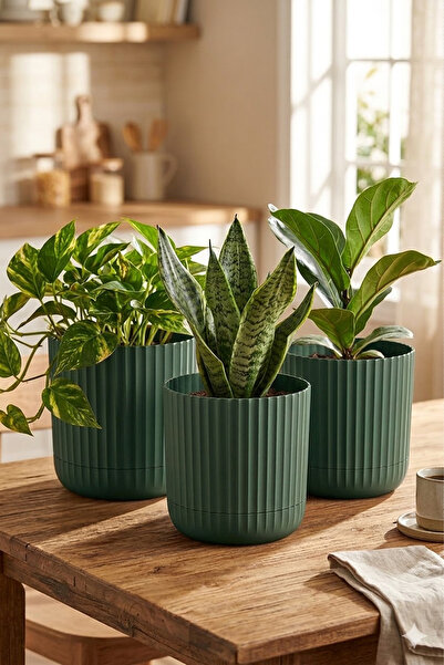 TEMMUZ HOME Zeraf Saksı No:1 – 3 Adet 1.3 Litre Tabaklı Masa ve Sehpa Üzeri S...