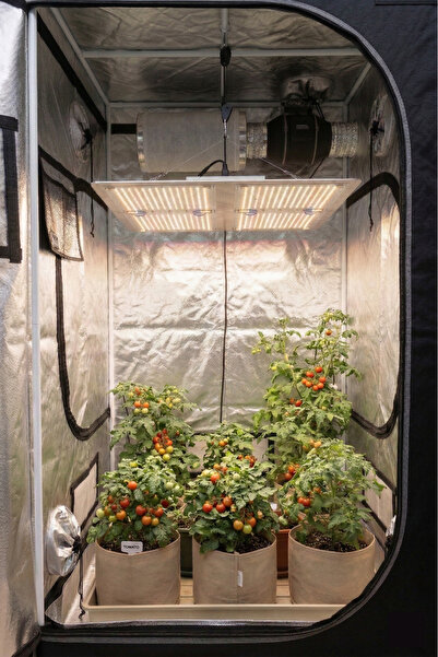 HLS Tam Spektrum LED Bitki Yetiştirme Lambası İç Mekan Bitkileri İçin GEN 5 L...