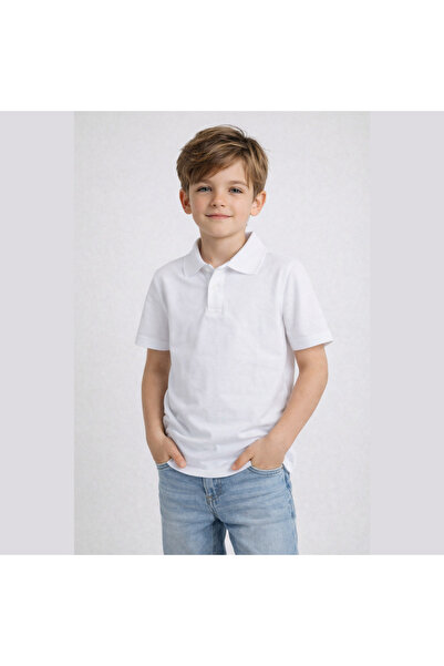 edoy Ανδρικό μπλουζάκι Premium Lacoste με κοντό μανίκι, Βαμβάκι χρώματα, διάφ...