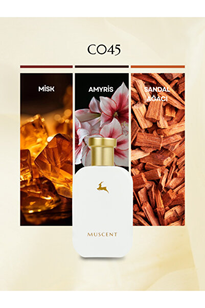 MUSCENT C045 Yaseep 50 ml.