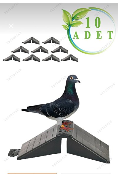 MUTLU TAVUKÇULUK Tünek Güvercin Bekar Tüneği 10 Adet Plastik Kuş Pigeon Yuva ...