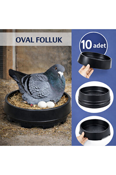 AN-GA AVM Güvercin Yuvarlak Folluk, 10 Adet Oval Güvercin Folluğu Pıgeon Küme...