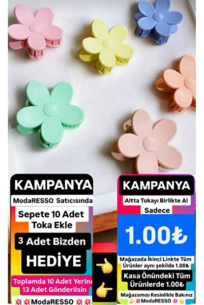 ModaRESSO Kadın Papatya Model Toka Pastel Renk