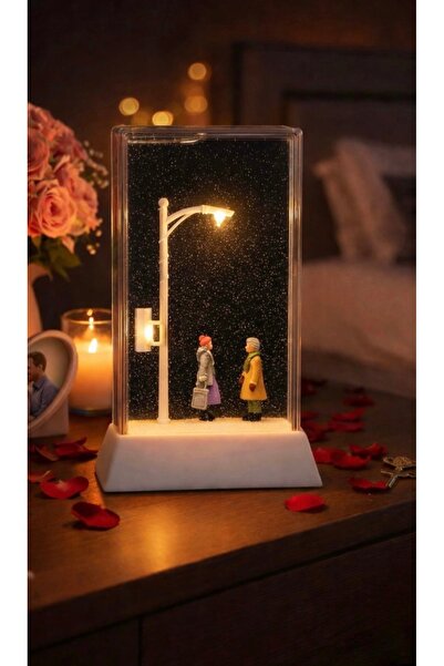 Kelebek Dünyası Çift Sokak Lambalı Kar Küresi