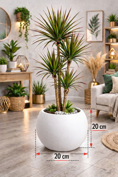 CANBOTANİK Küre Saksı 20 Cm Saksı Beyaz Plastik Saksı Çiçek Saksısı